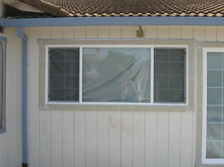 Kitchen Window